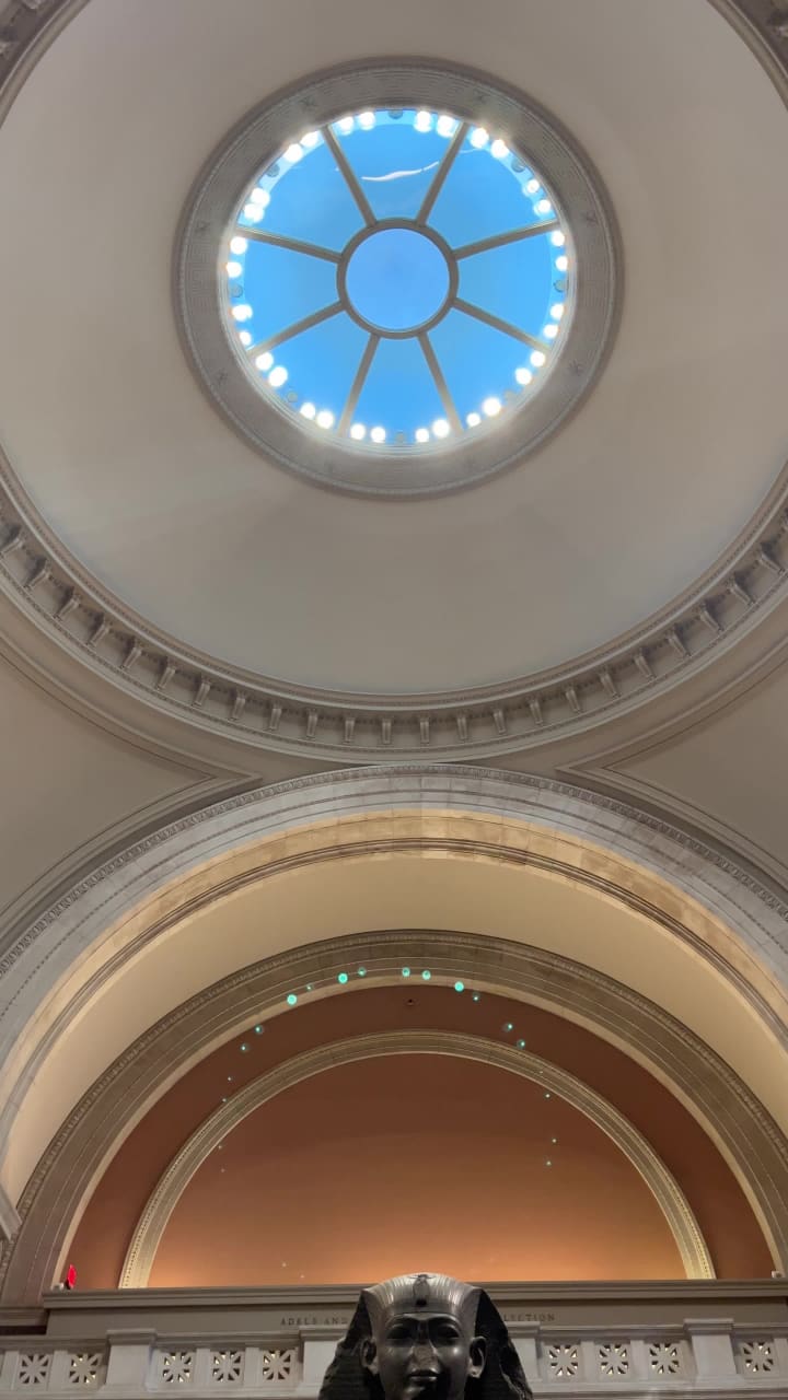 Metropolitan Museum Steps