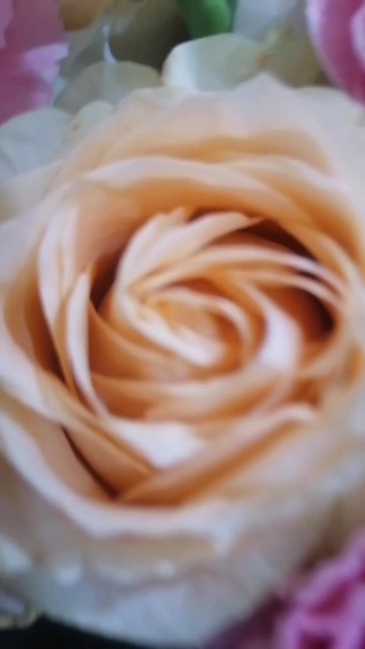 N4, Alzu Petroport, 1055