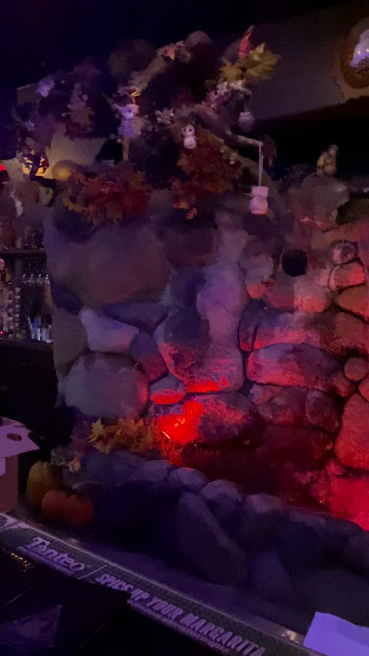 Video review of The Owl