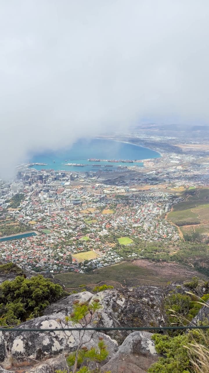 Table Mountain Café