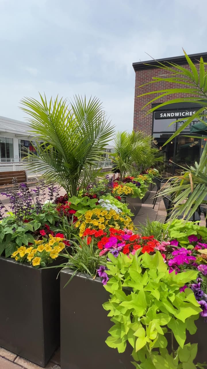 Video review of Oakbrook Center