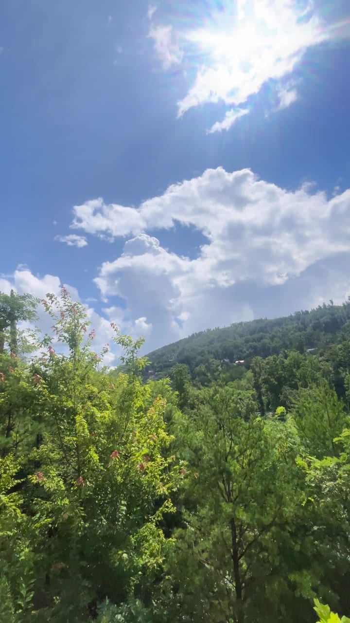 Video review of Anakeesta Smokehouse