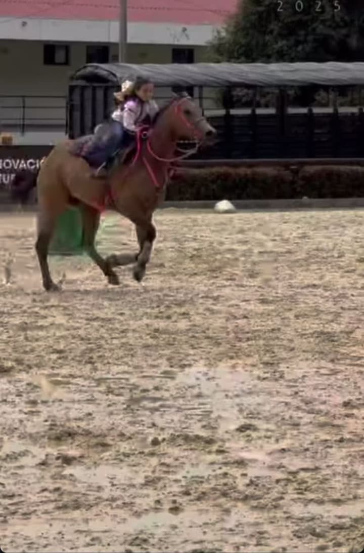 Video review of Escuela de Caballeria