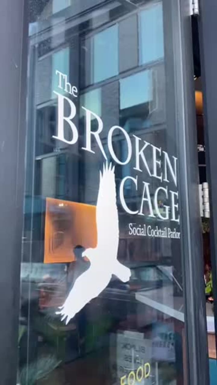 Video review of The Broken Cage
