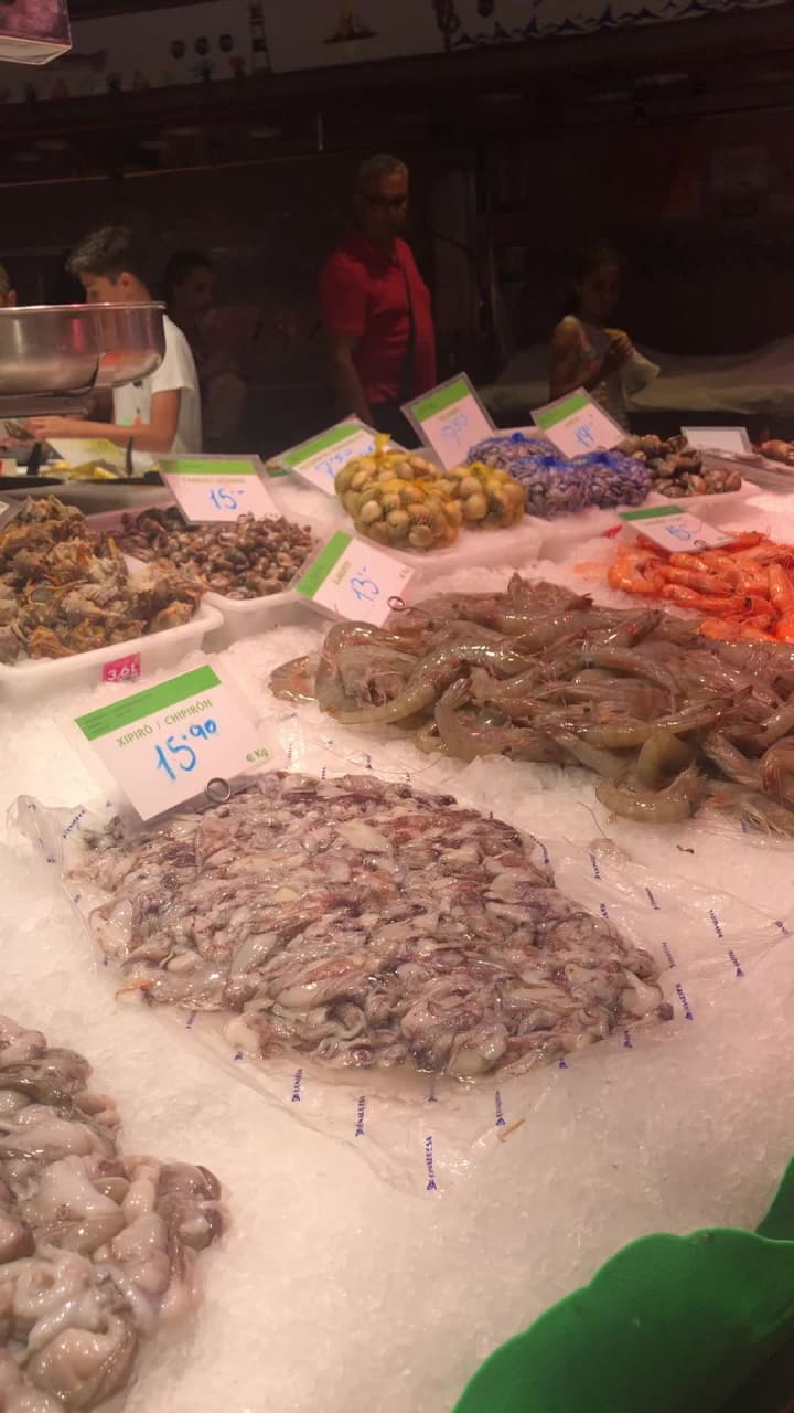 Video review of Mercat del Ninot