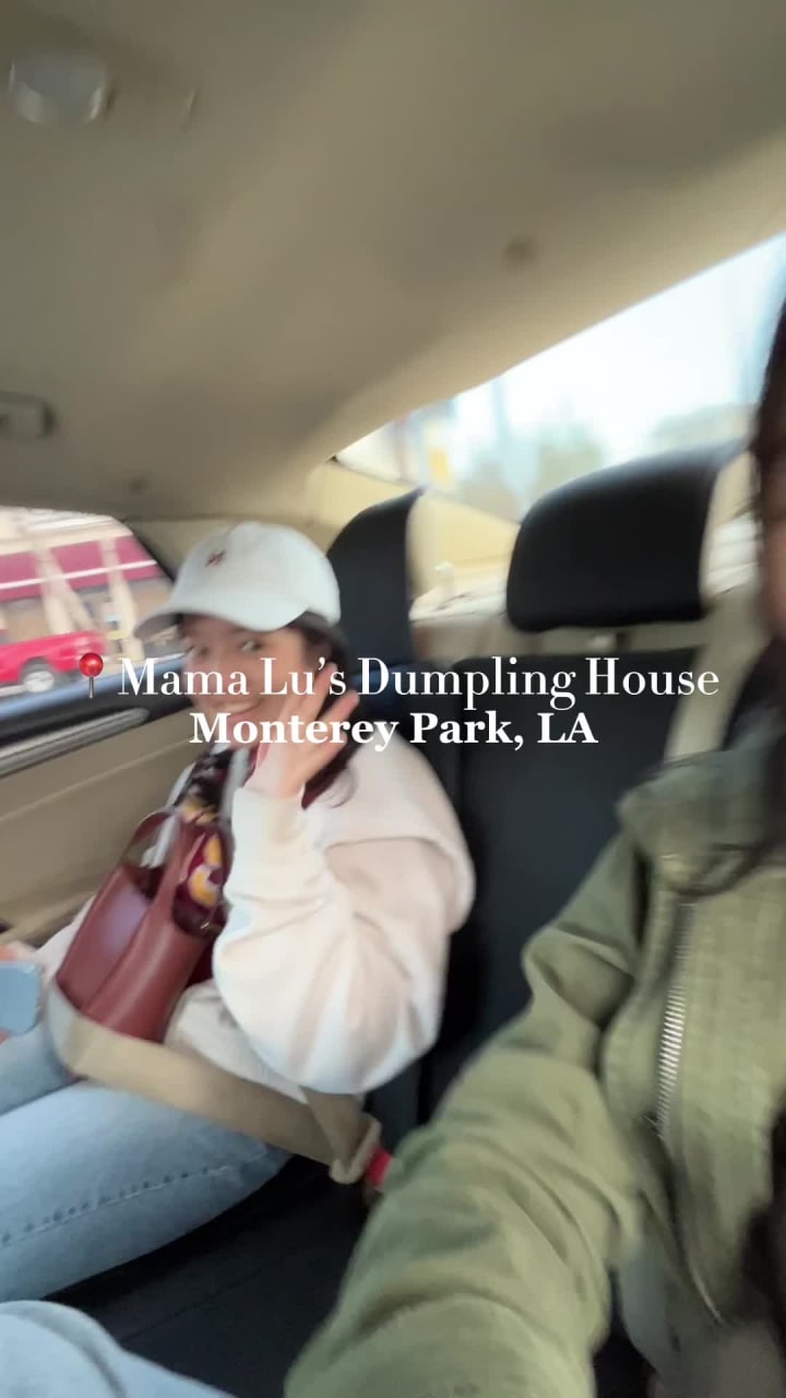 Video review of Mama Lu's Dumpling House