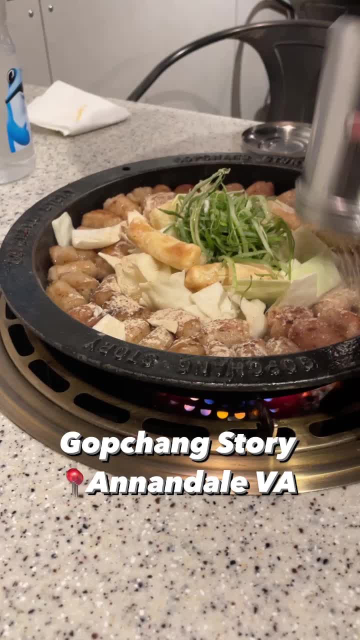 Video review of Gopchang Story
