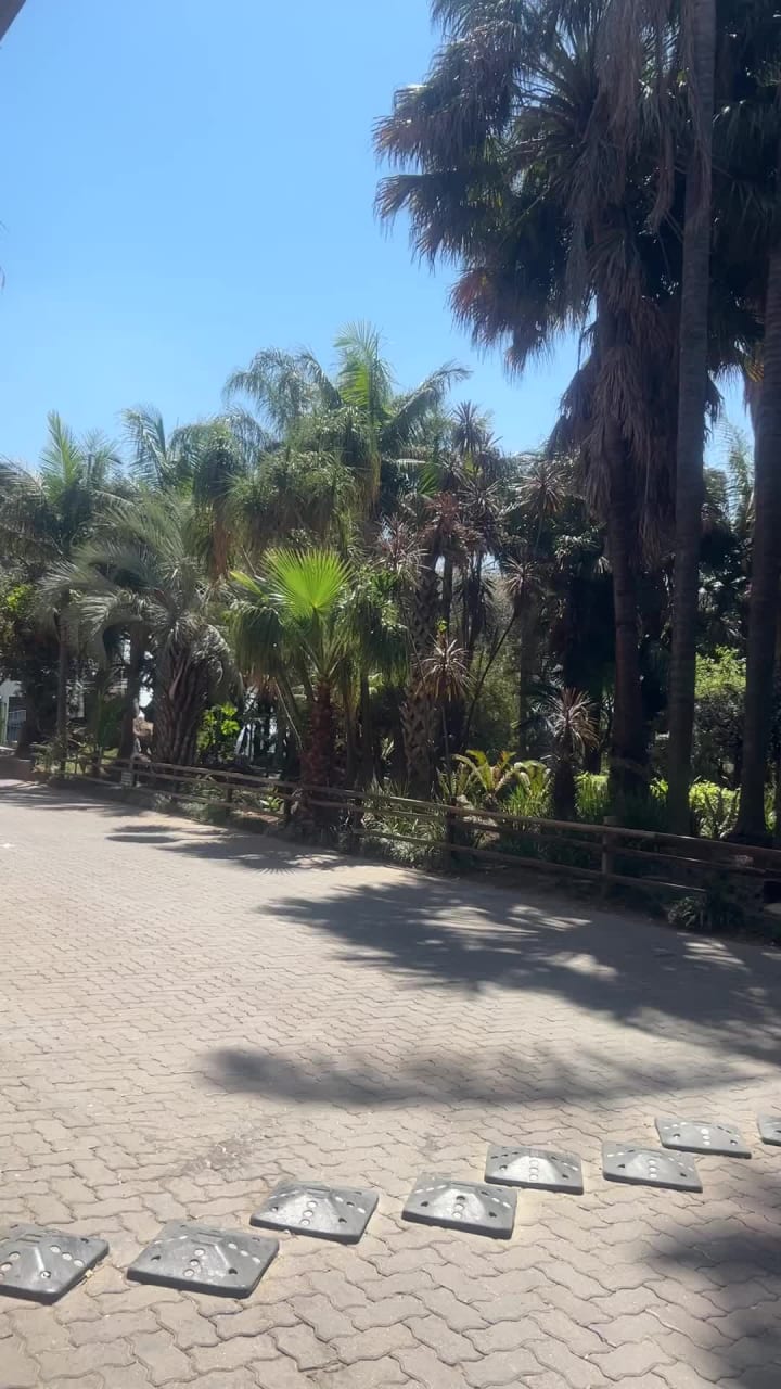 Fourways Flower Market