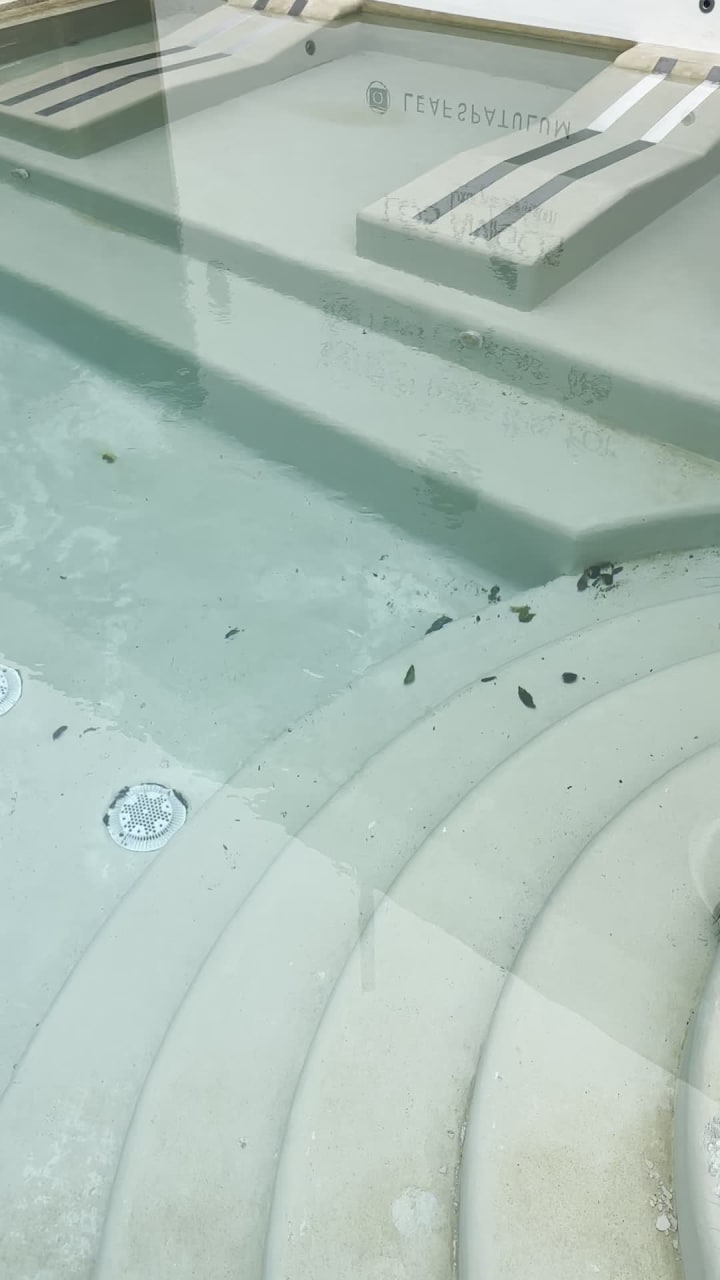 Leaf Luxury Spa At Los Amigos