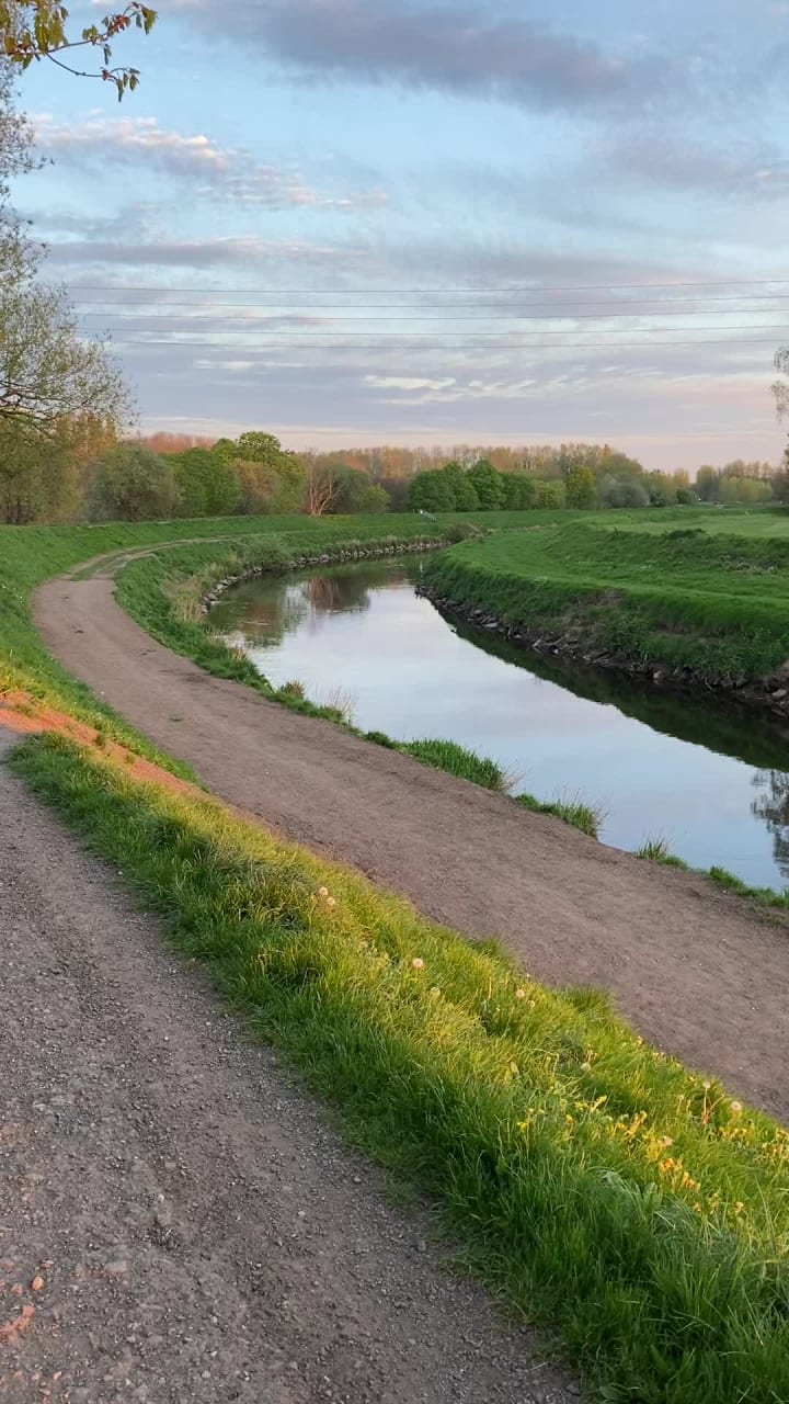 Fletcher Moss Gardens