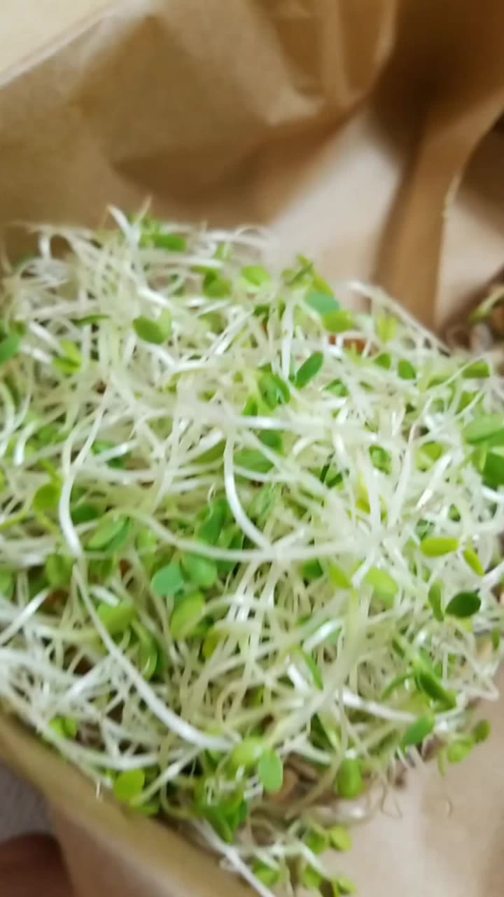 Island Vintage Coffee