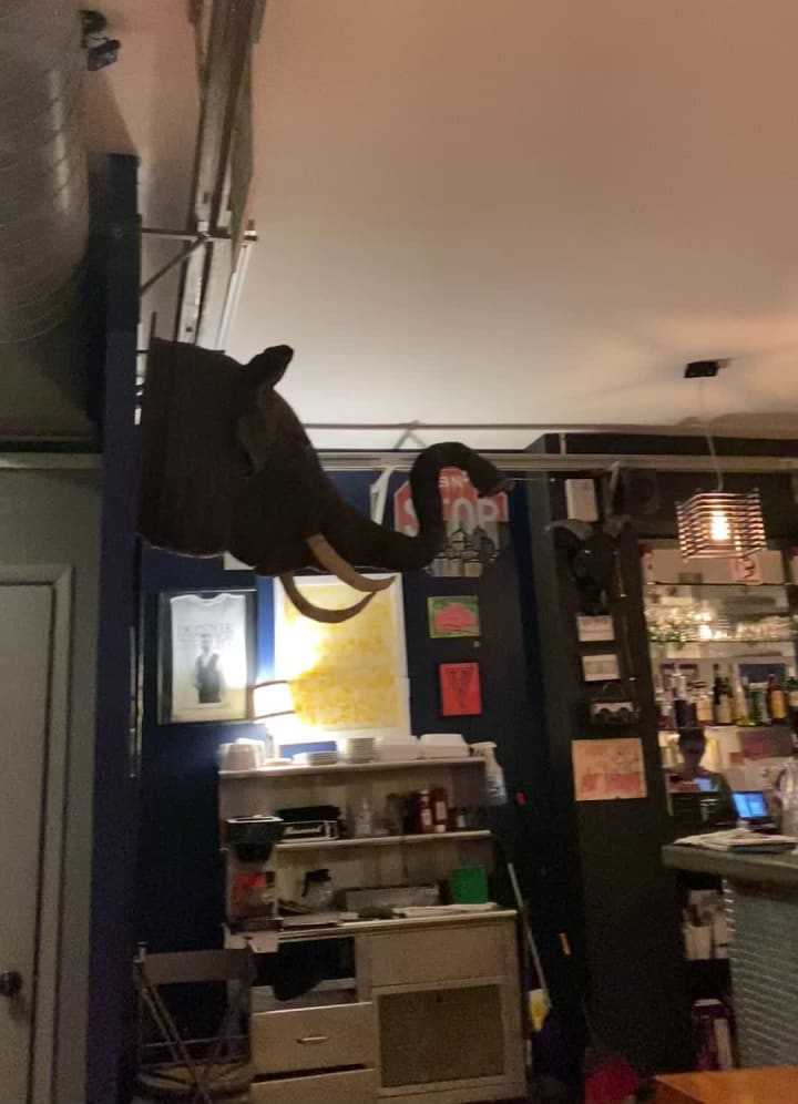 Video review of Streets On Carson