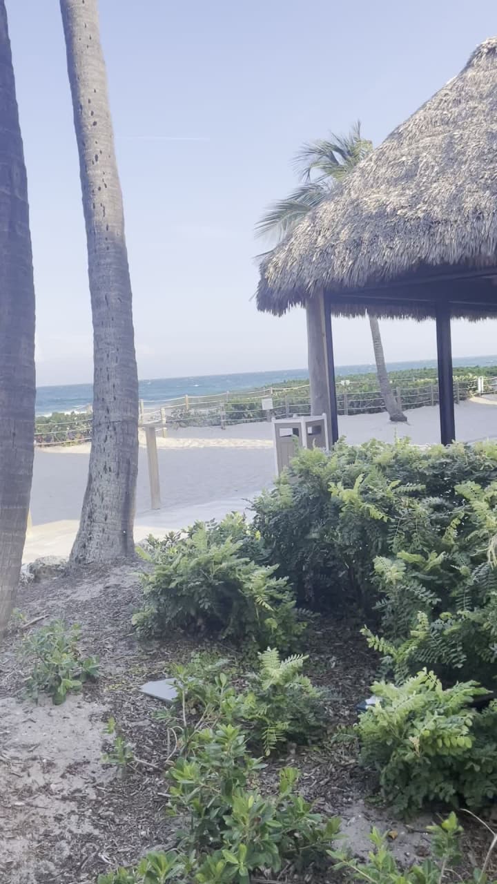 Video review of Ocean Grill & Tiki Bar