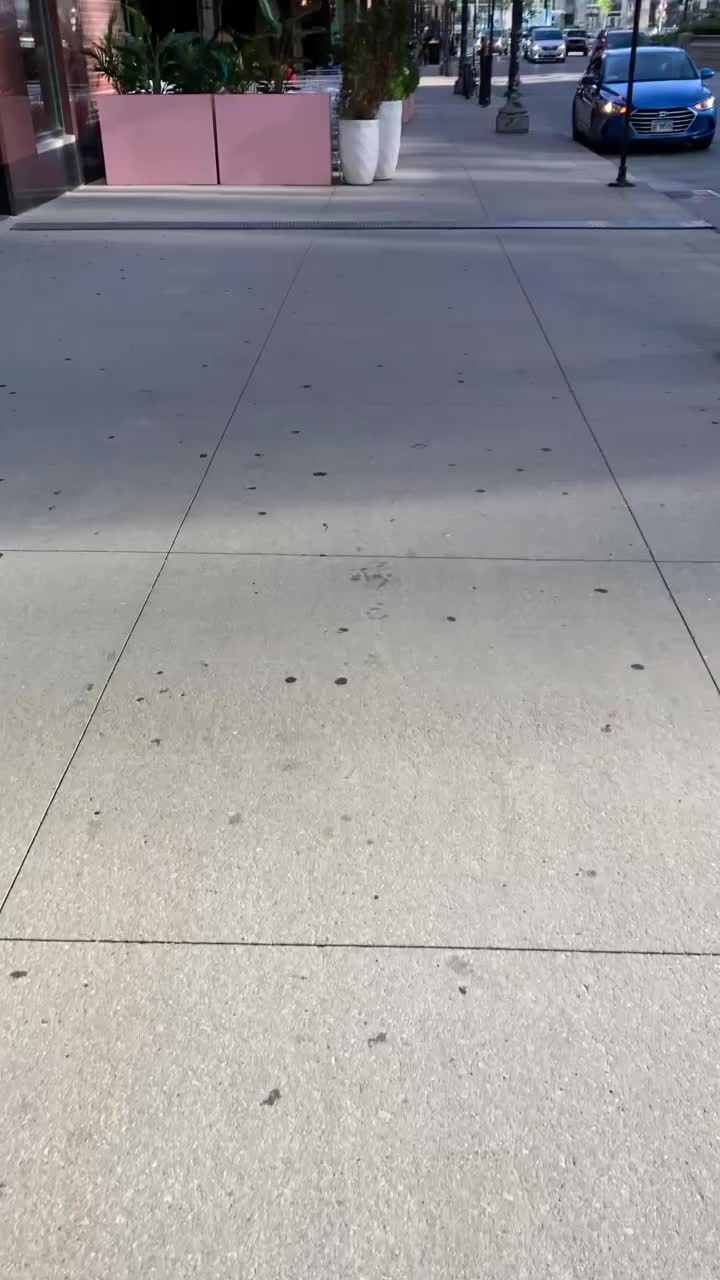 Beatnik On The River