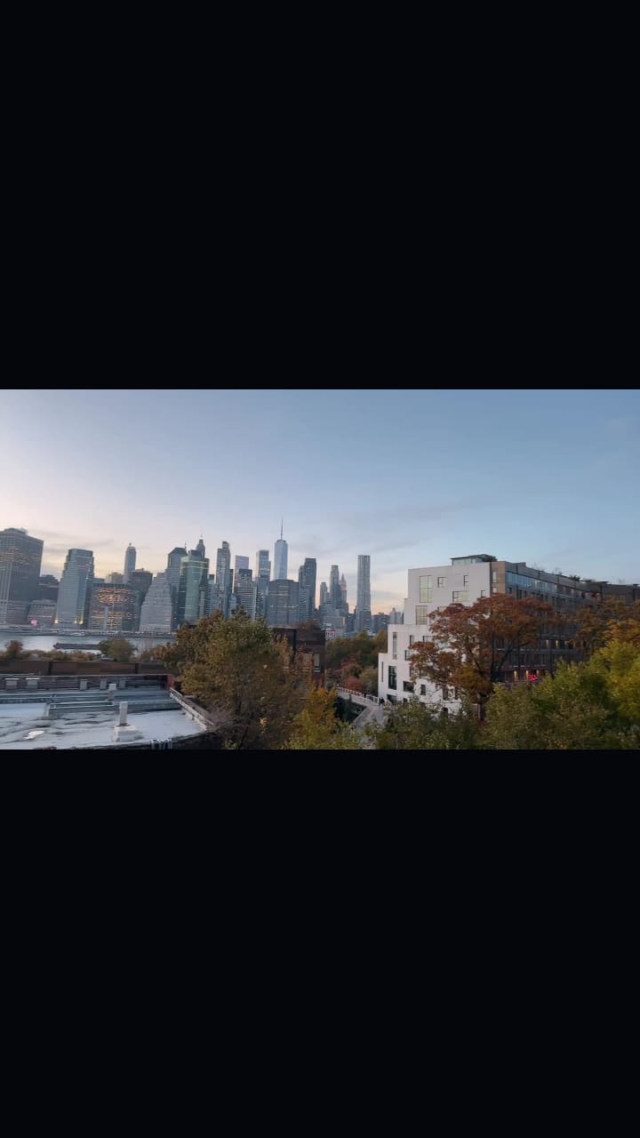 Video review of Brooklyn Heights Promenade