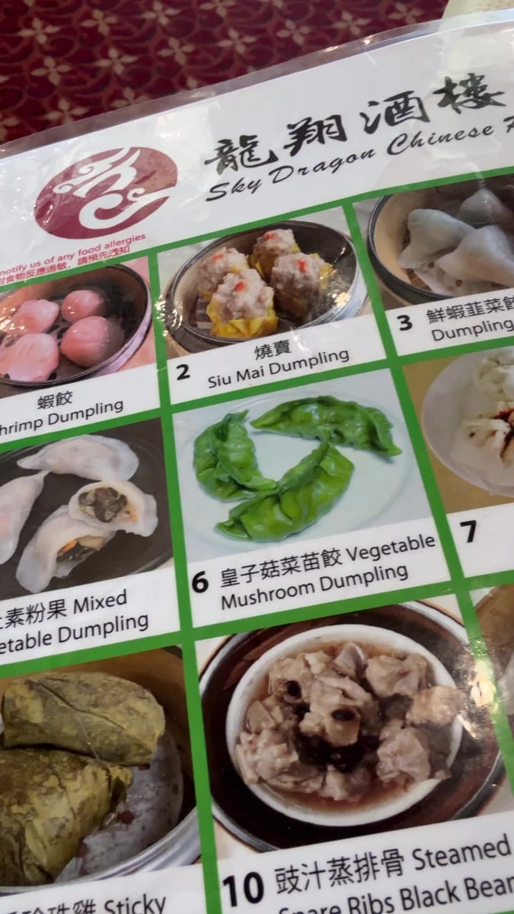 Sky Dragon Chinese Restaurant 龍翔酒樓