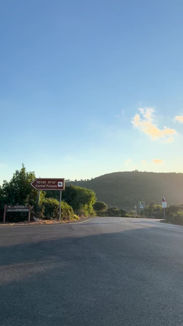 Hof HaCarmel forest (יער חוף הכרמל)