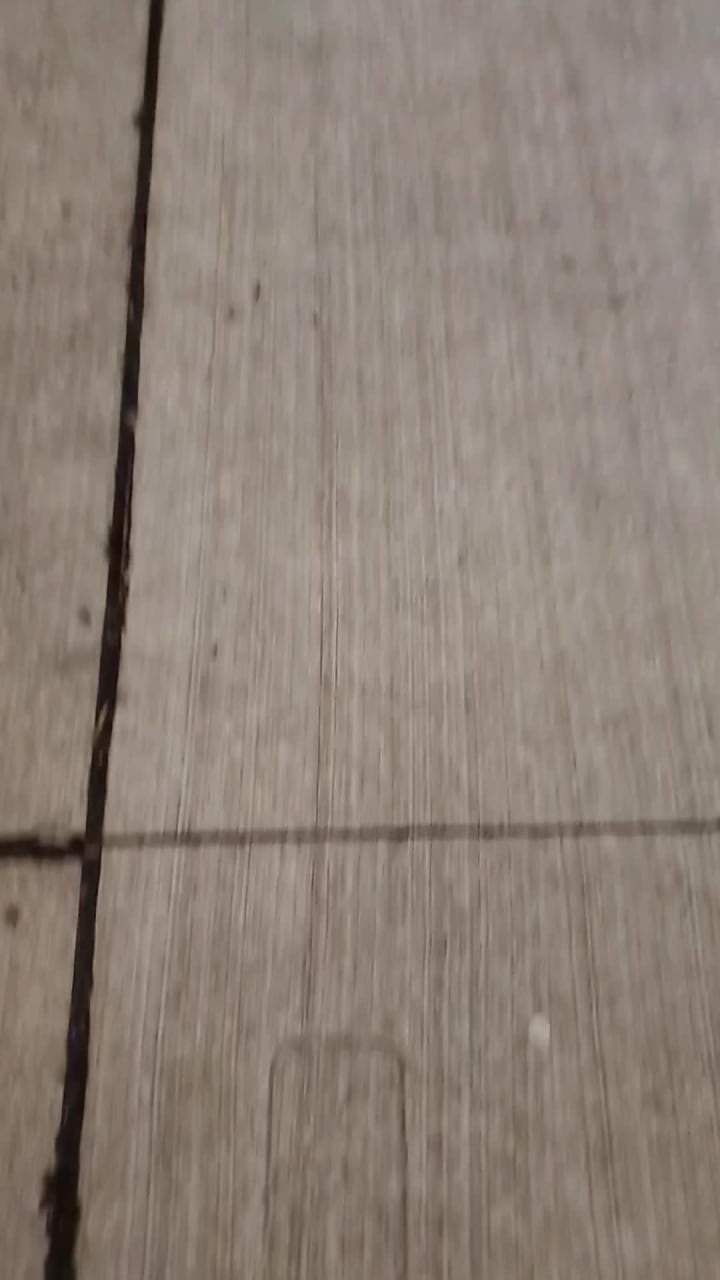 Konjiki Ramen (Downtown)