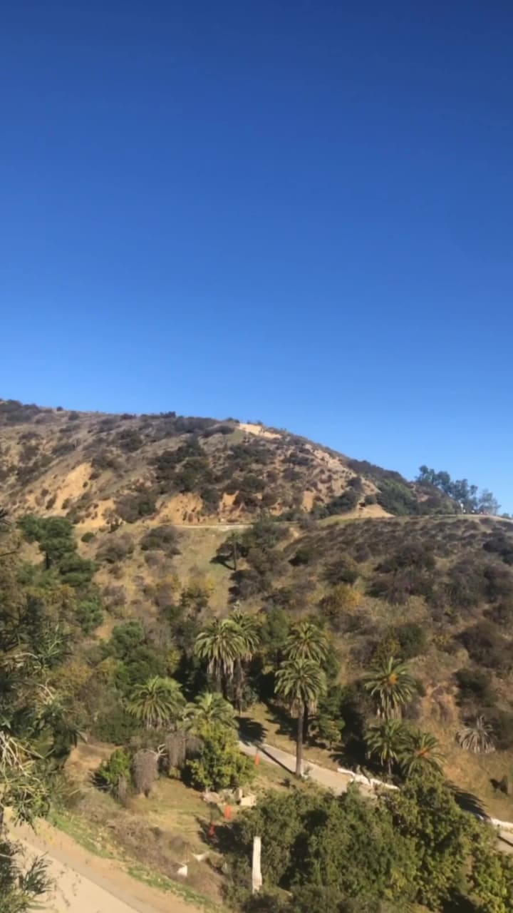 Video review of Runyon Canyon Park