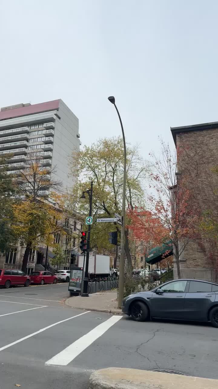 Video review of Maison Boulud