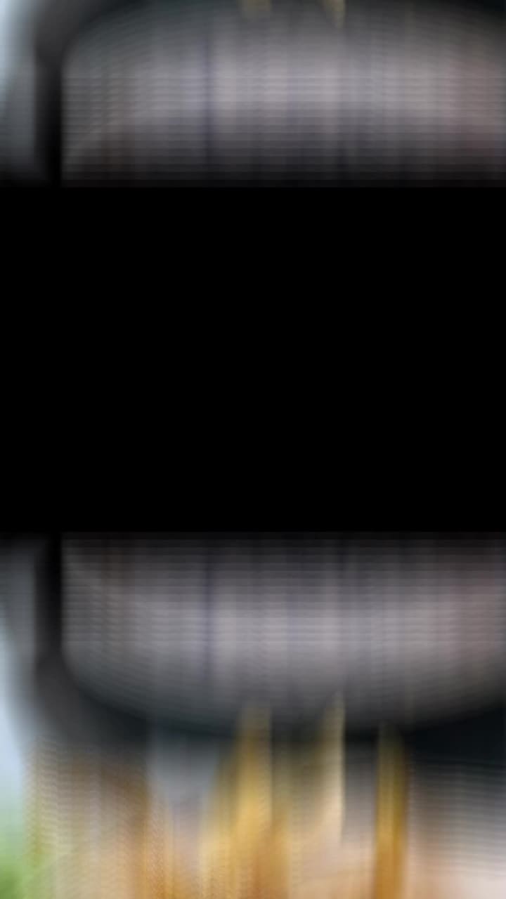 Video review of Estuary