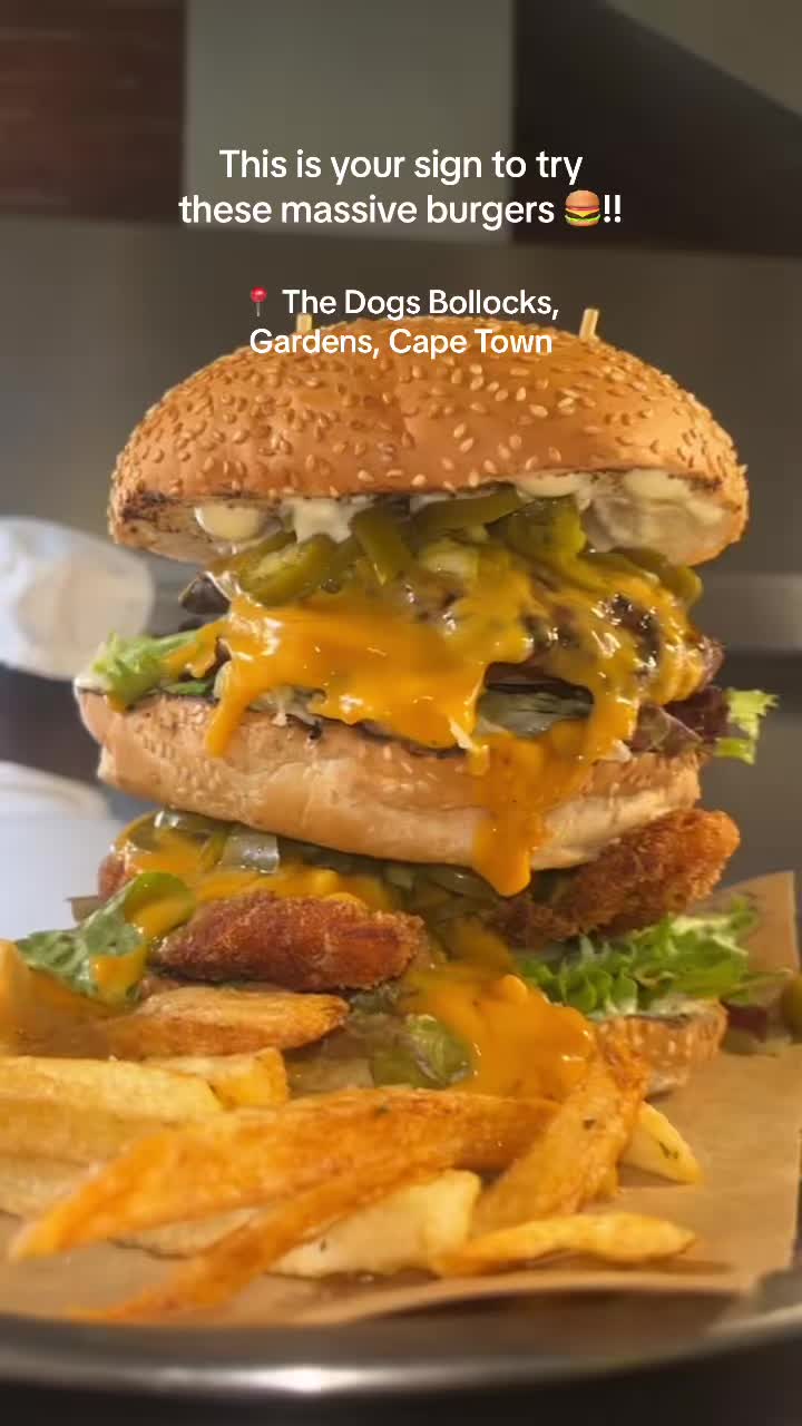 The Dog's Bollocks at YARD