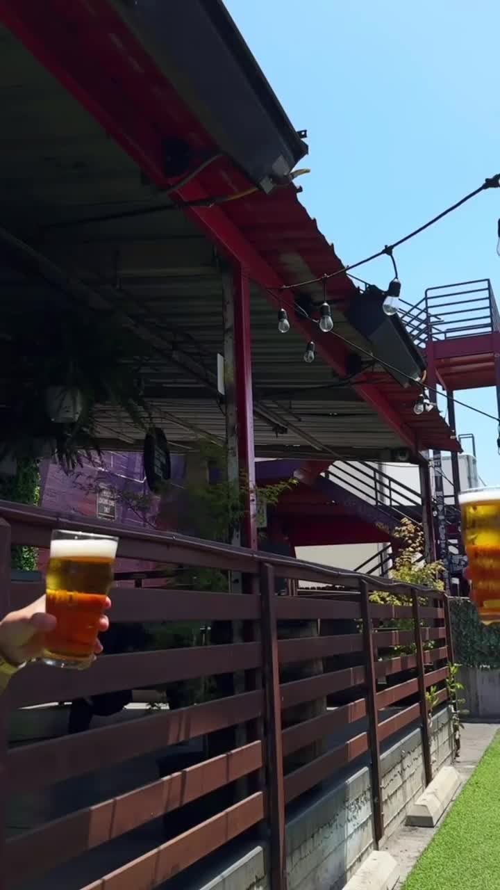 Video review of Art District Brewing