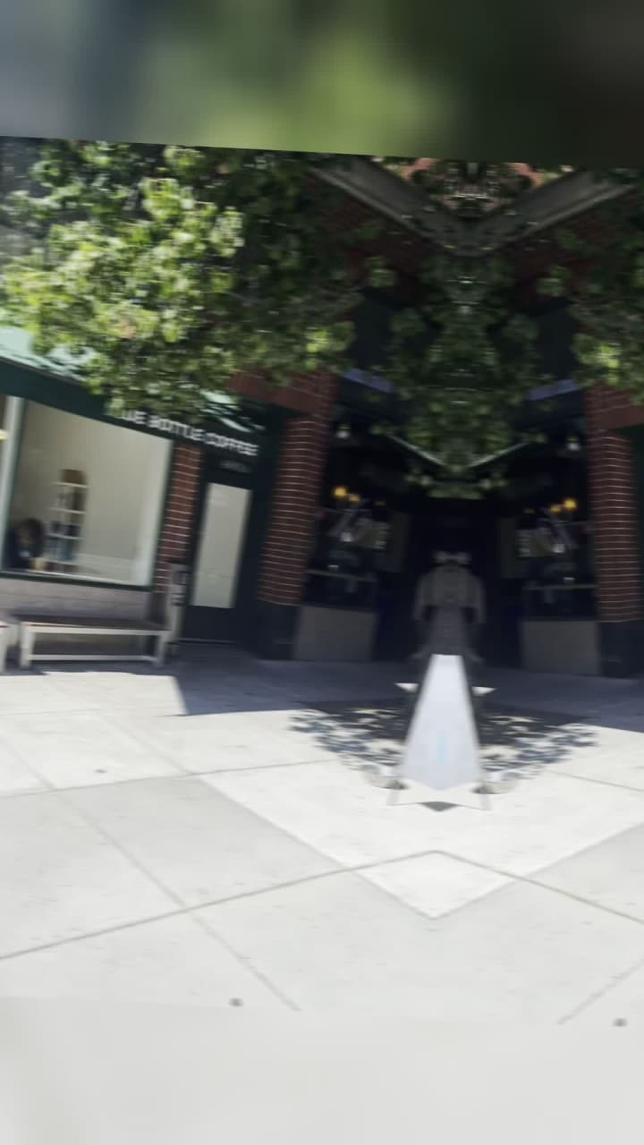 Video review of Blue Bottle Coffee