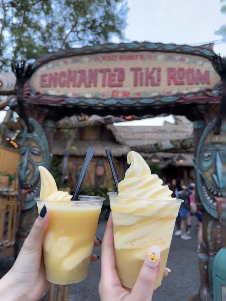 Video review of Walt Disney's Enchanted Tiki Room