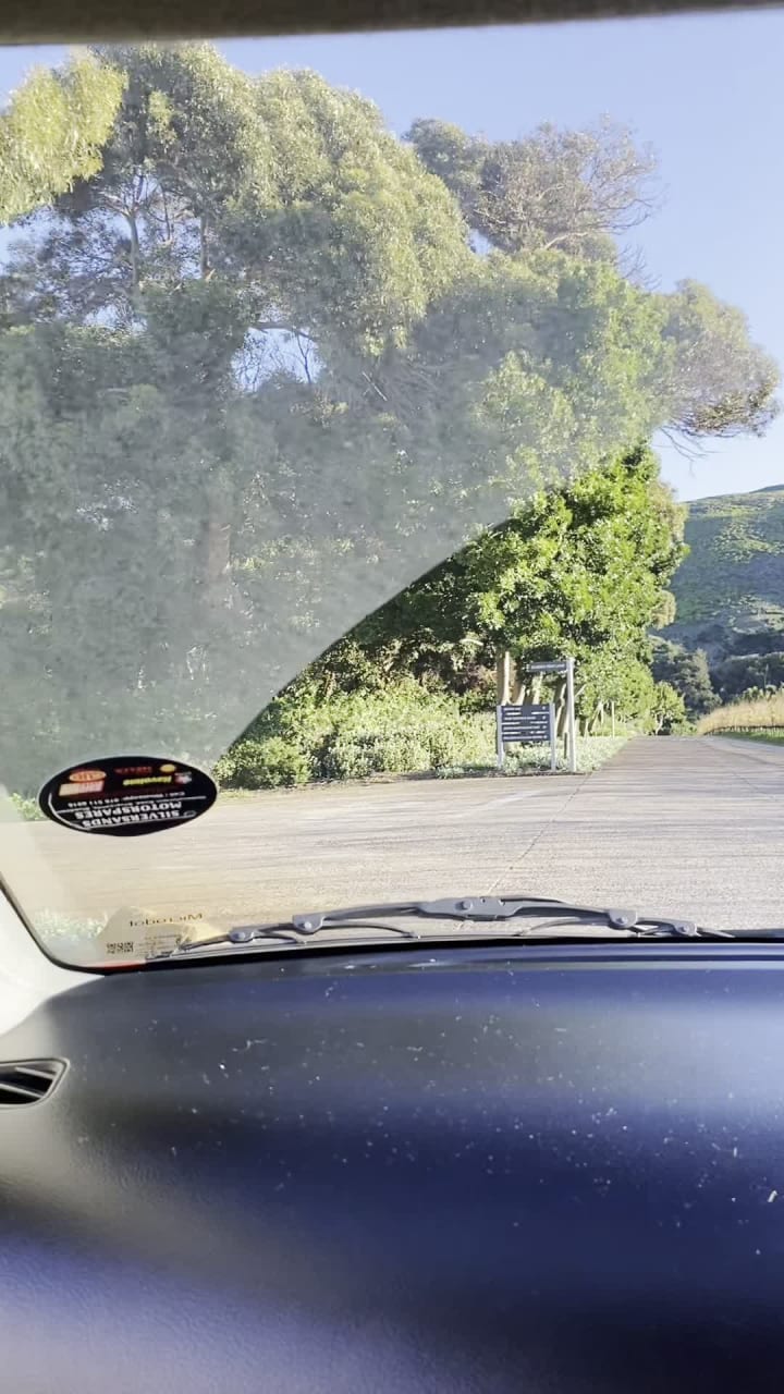 Catherina's Steenberg Wine Estate