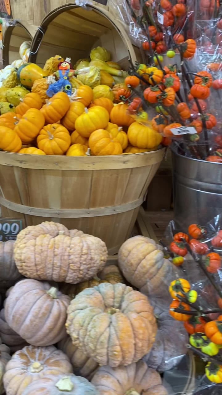 Video review of Trader Joe's