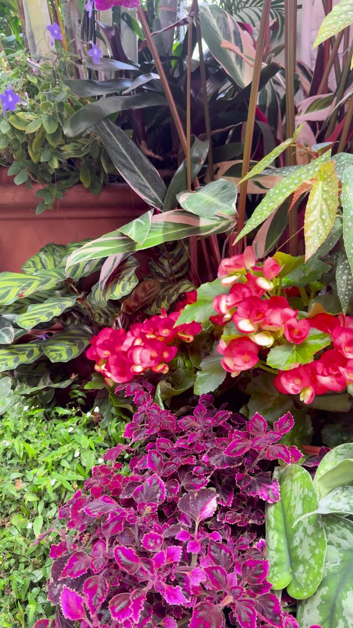 Video review of The Biltmore Estate