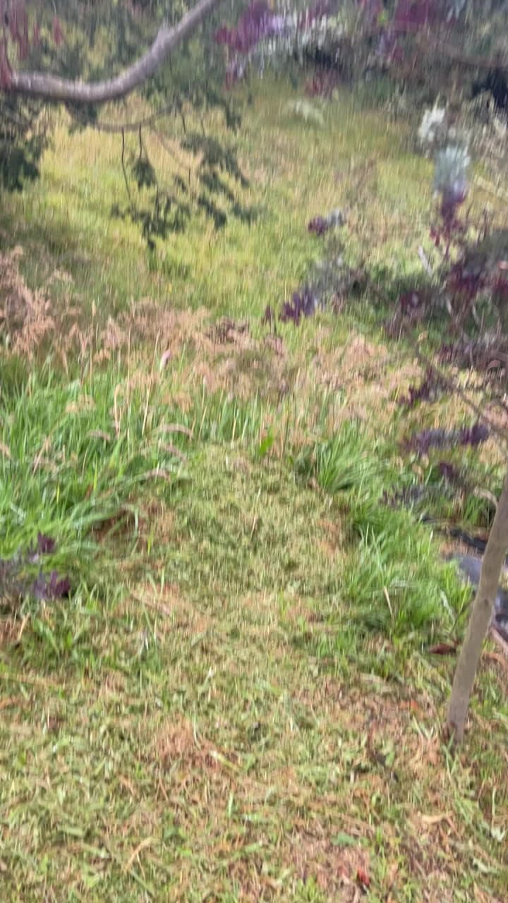 Parque Ecologico Pionono