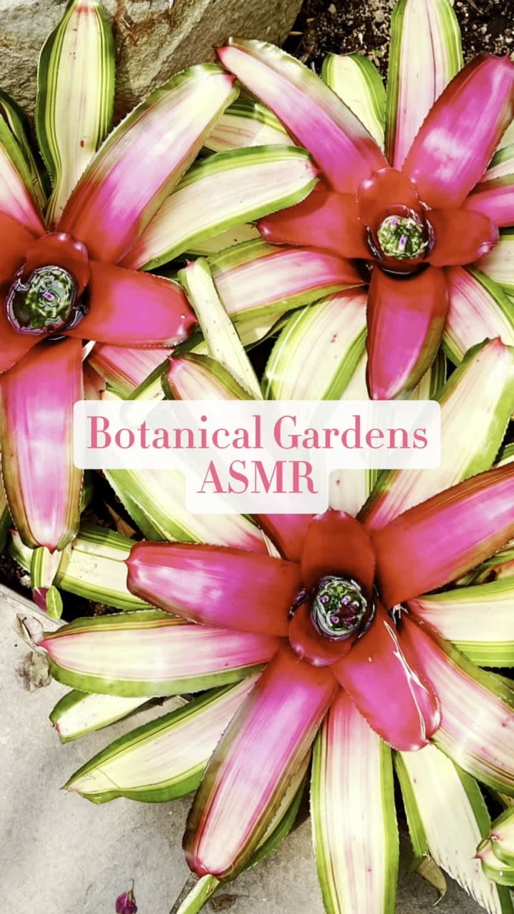 Video review of Myriad Botanical Gardens