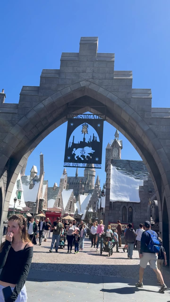 The Wizarding World of Harry Potter
