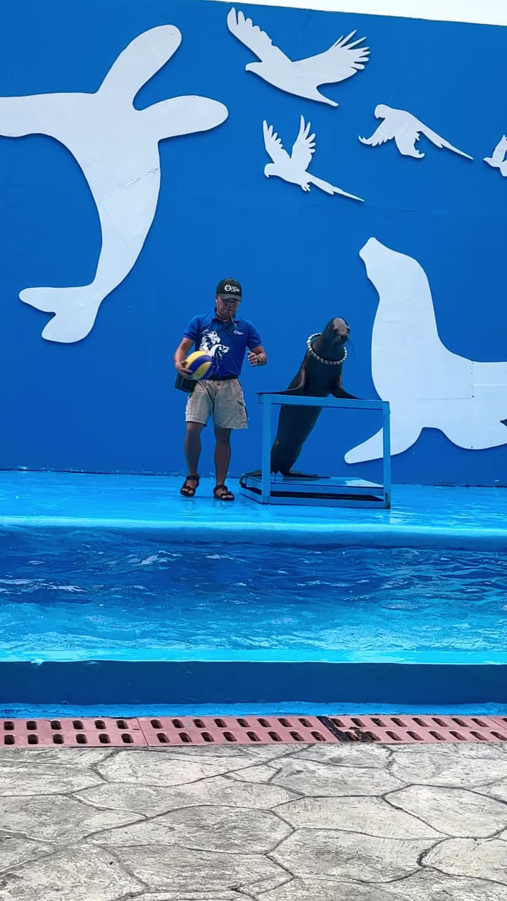 Video review of Manila Ocean Park