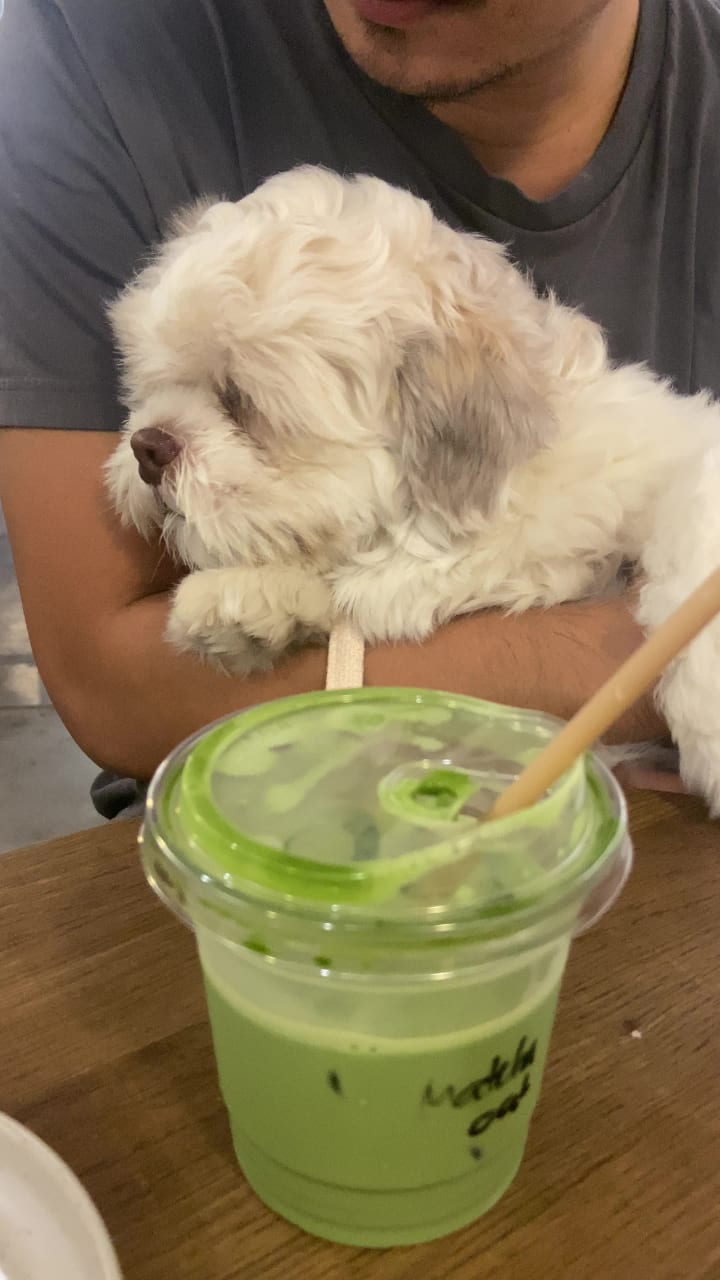 Video review of Estancia