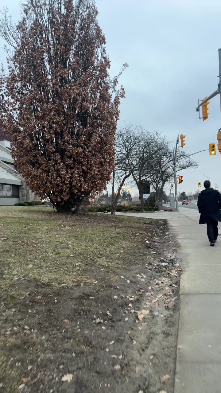 Brampton Ontario - Bramelea City Centre