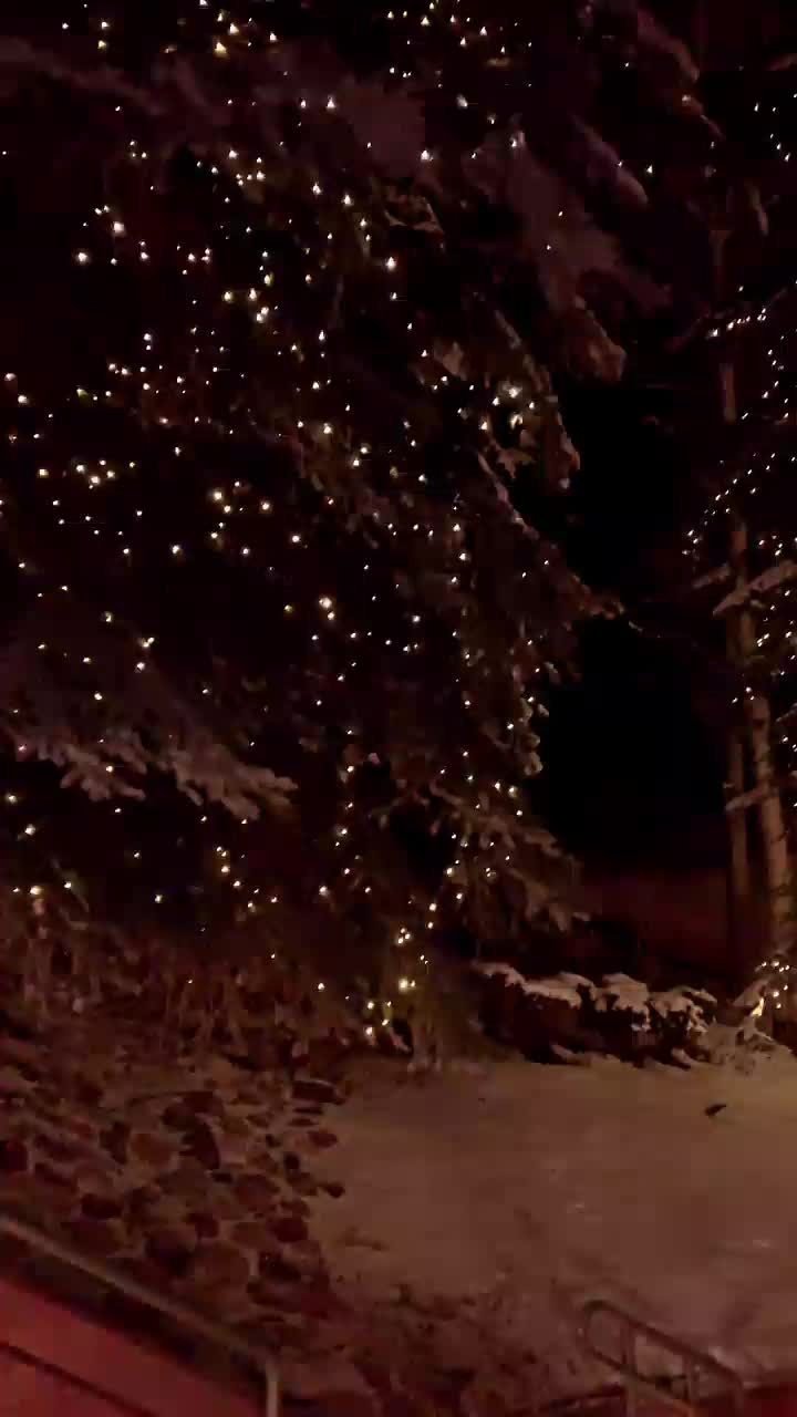 Video review of The Little Nell