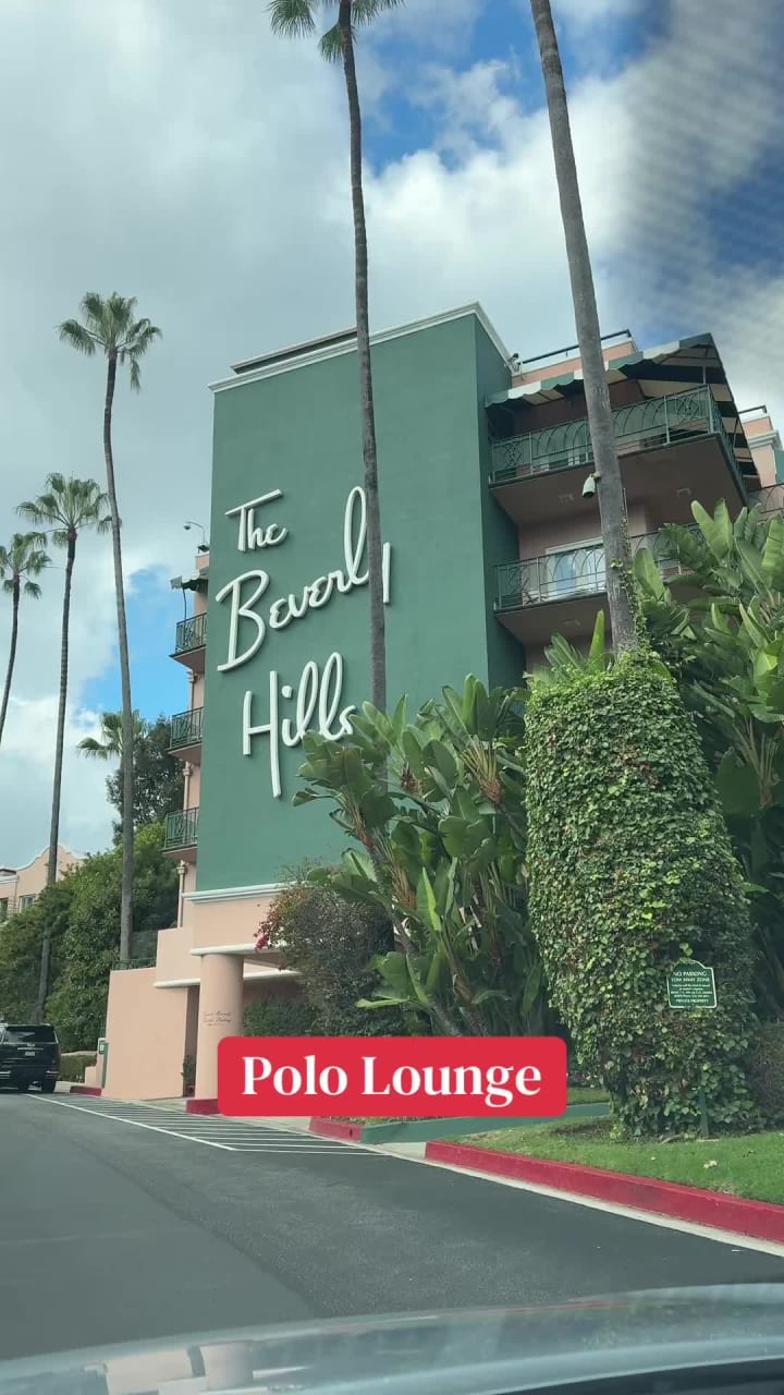 Video review of Polo Lounge