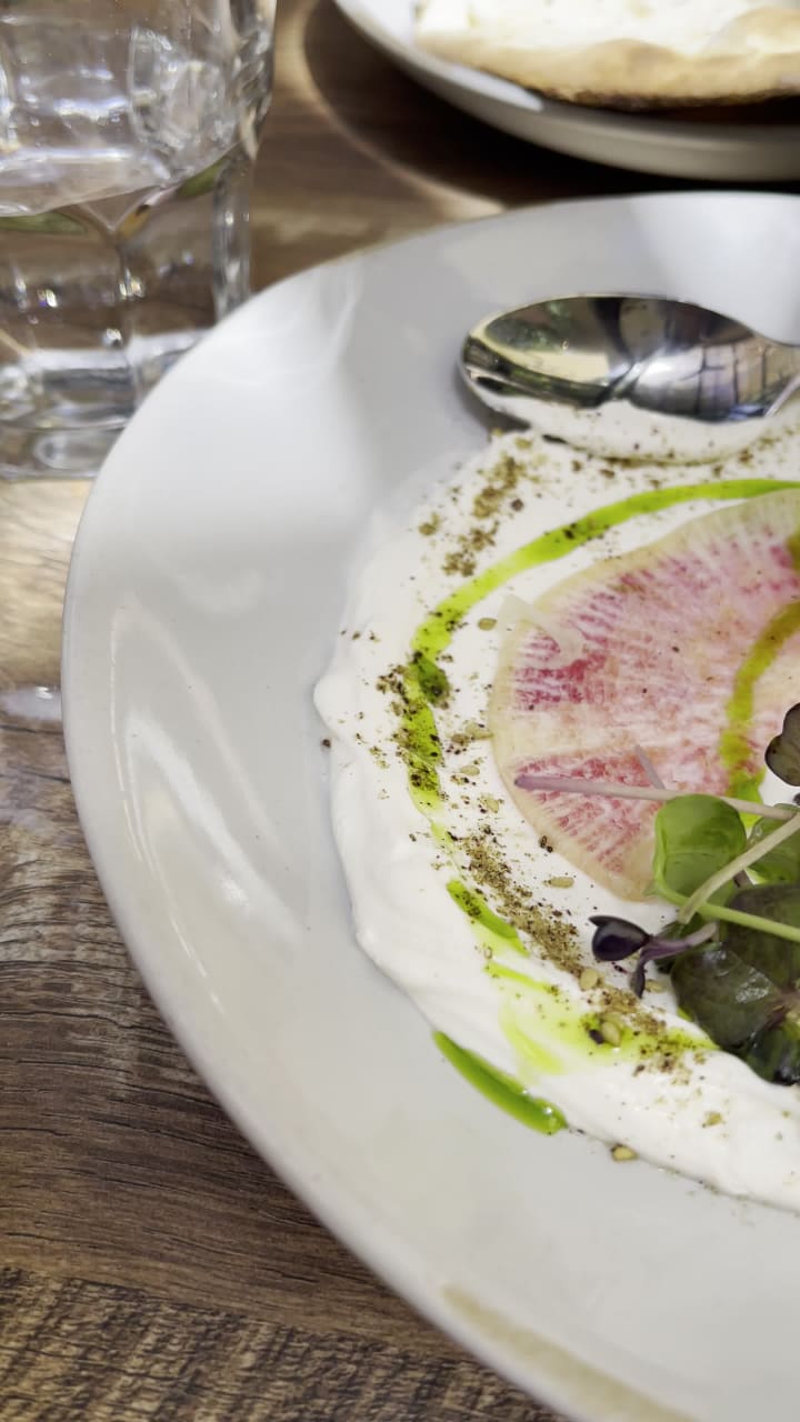 Delbar Middle Eastern