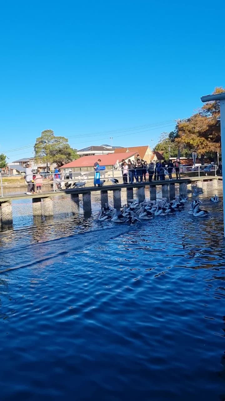 Woy Woy Fishermen's Wharf