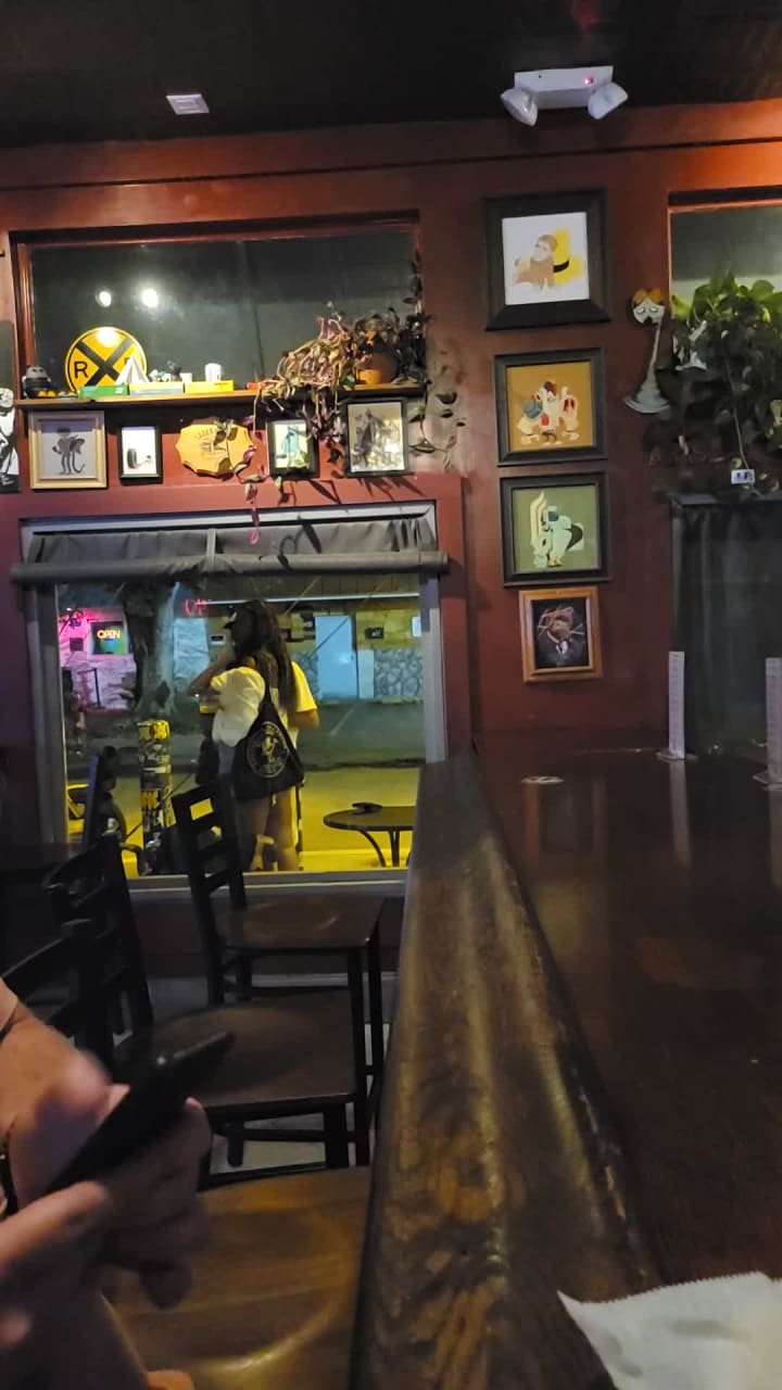 Video review of Laser Wolf