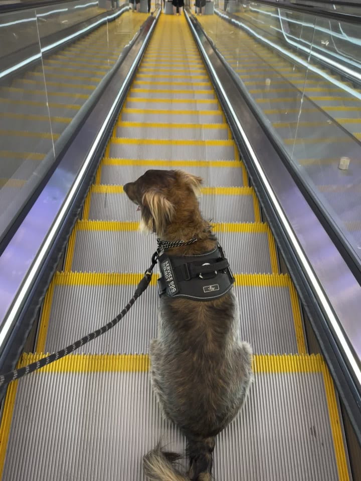 Tampa International Airport