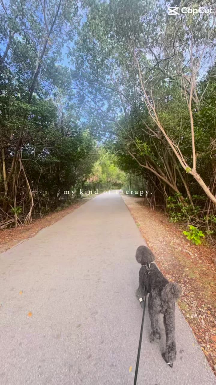 Video review of Hugh Taylor Birch State Park