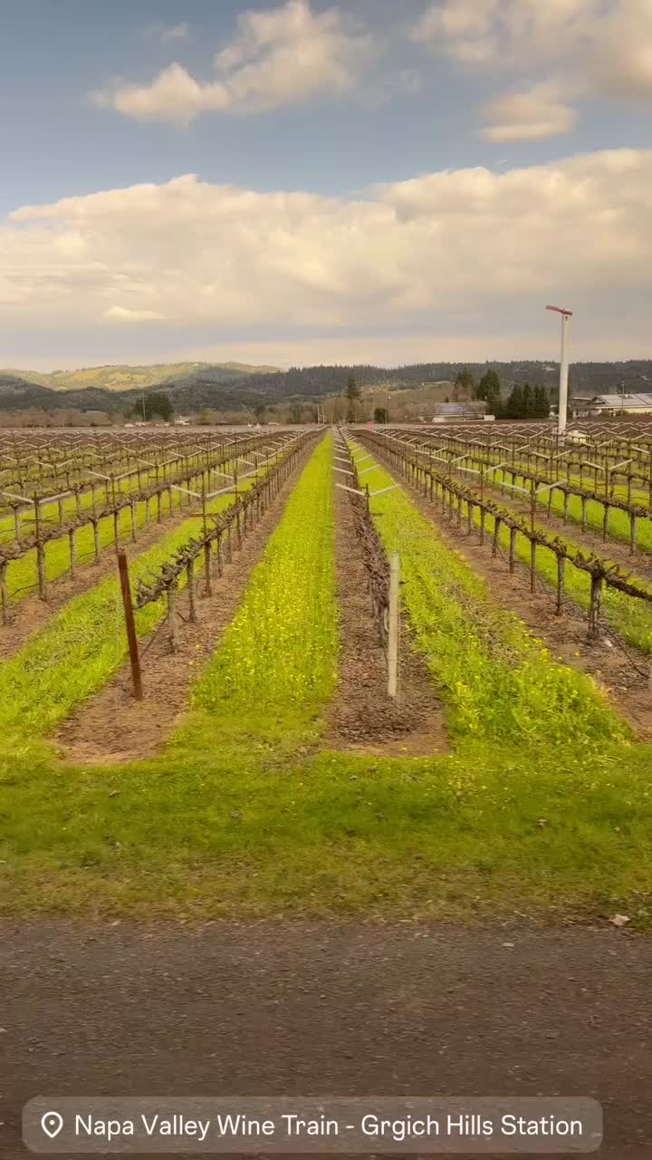 Napa Valley Wine Train