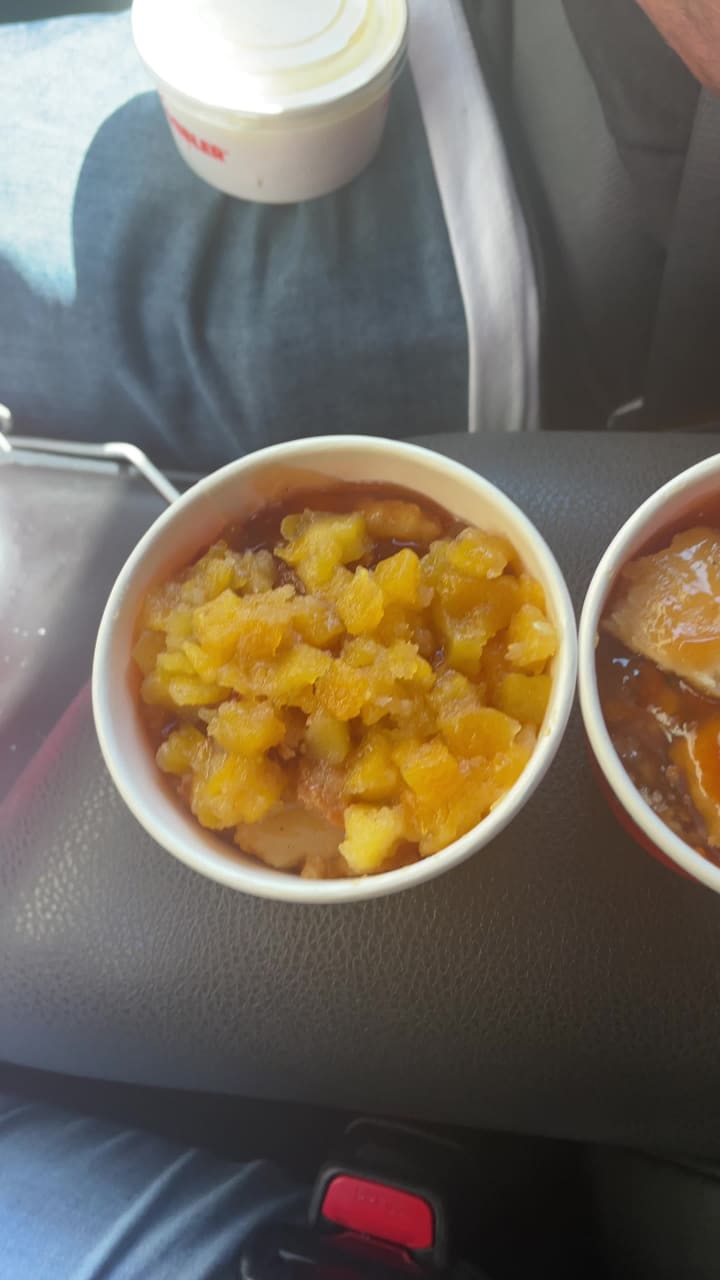 The Peach Cobbler Factory Tampa/USF