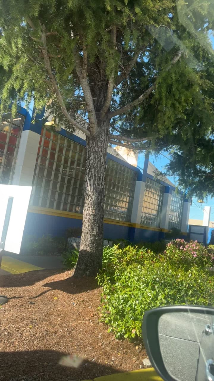 Ducky's Car Wash - San Mateo