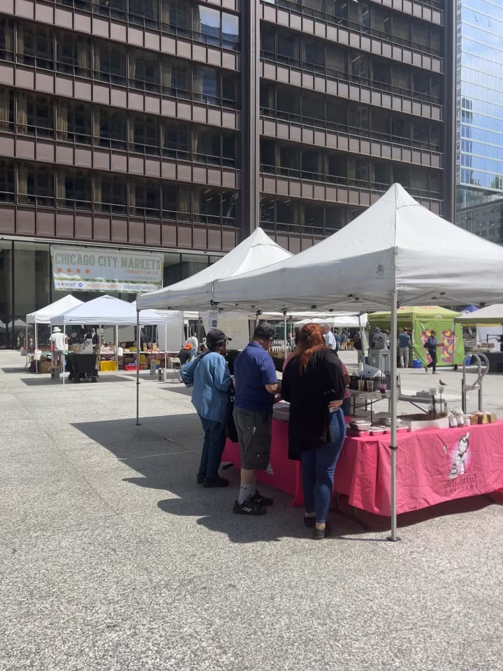 Video review of Daley Plaza