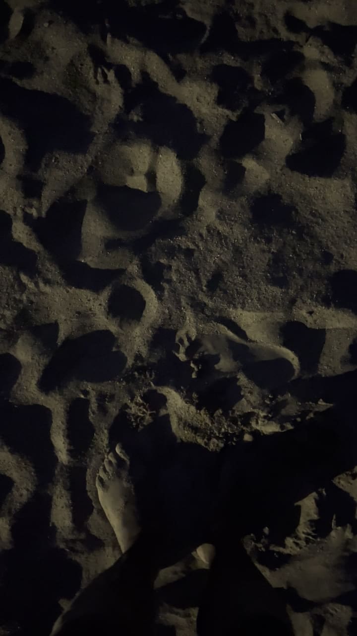 AdTraction at 31st Street Beach